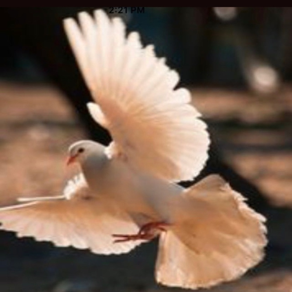 Meet your Posher, Christelle